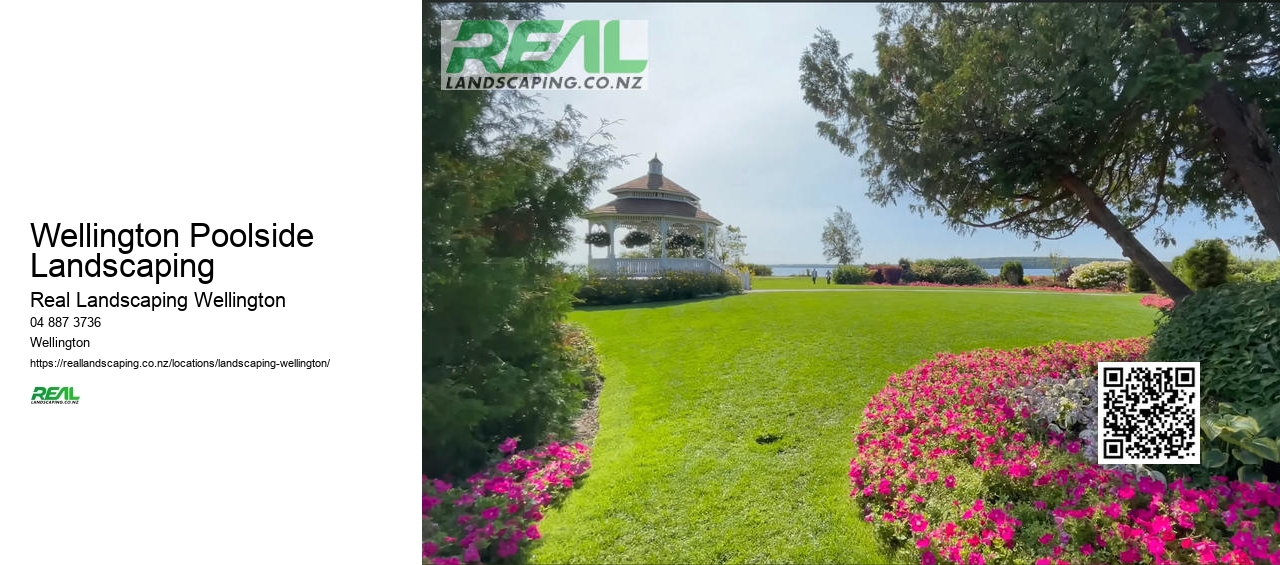 Hydroseeding Wellington NZ